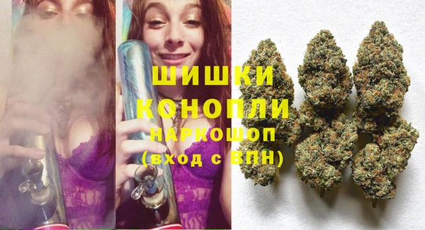винт Алексин