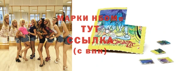 мдпв Киреевск