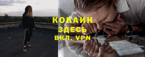 винт Алексин